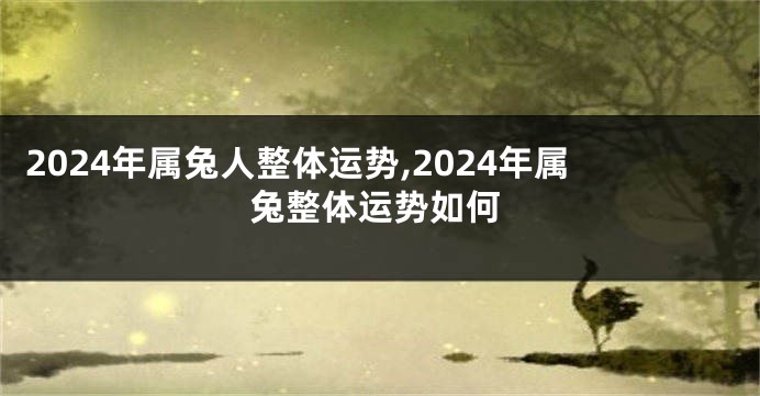 2024年属兔人整体运势,2024年属兔整体运势如何
