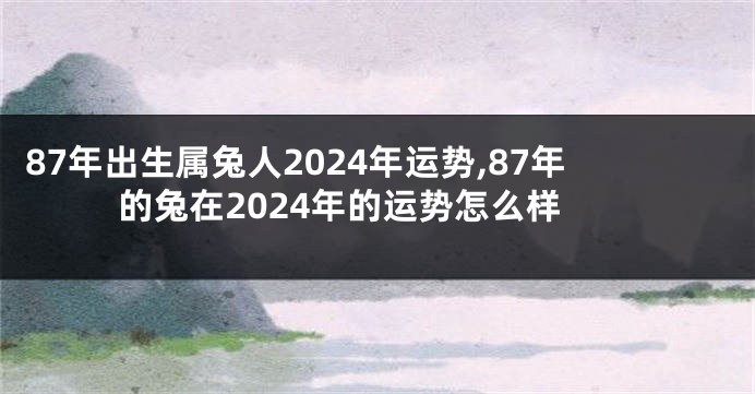 87年出生属兔人2024年运势,87年的兔在2024年的运势怎么样