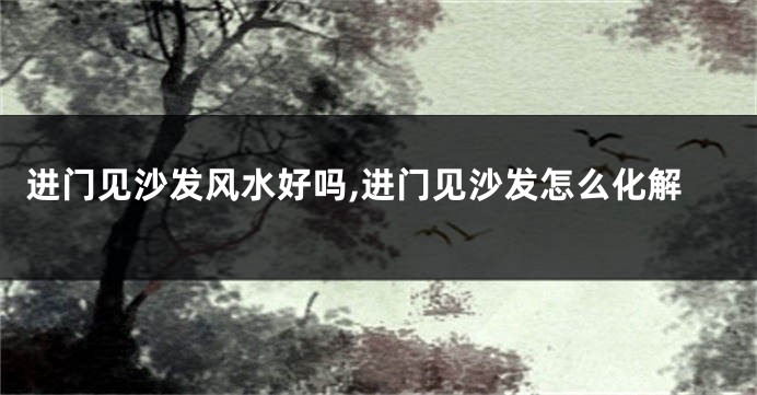 进门见沙发风水好吗,进门见沙发怎么化解