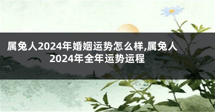 属兔人2024年婚姻运势怎么样,属兔人2024年全年运势运程