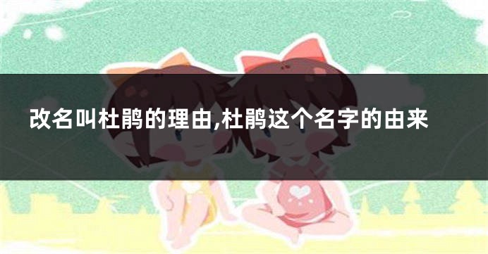 改名叫杜鹃的理由,杜鹃这个名字的由来