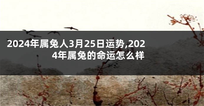 2024年属兔人3月25日运势,2024年属兔的命运怎么样