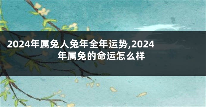 2024年属兔人兔年全年运势,2024年属兔的命运怎么样