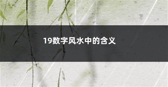 19数字风水中的含义