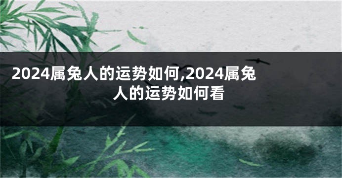 2024属兔人的运势如何,2024属兔人的运势如何看