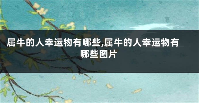 属牛的人幸运物有哪些,属牛的人幸运物有哪些图片