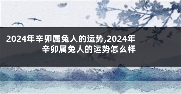 2024年辛卯属兔人的运势,2024年辛卯属兔人的运势怎么样