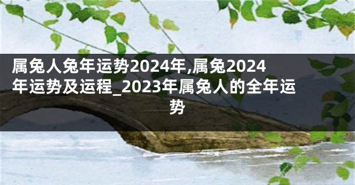 属兔人兔年运势2024年,属兔2024年运势及运程_2023年属兔人的全年运势