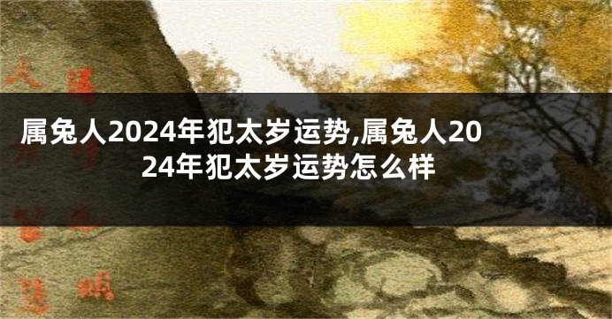 属兔人2024年犯太岁运势,属兔人2024年犯太岁运势怎么样