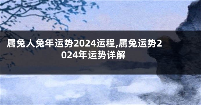 属兔人兔年运势2024运程,属兔运势2024年运势详解