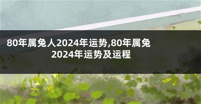 80年属兔人2024年运势,80年属兔2024年运势及运程