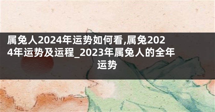 属兔人2024年运势如何看,属兔2024年运势及运程_2023年属兔人的全年运势