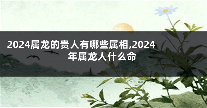 2024属龙的贵人有哪些属相,2024年属龙人什么命