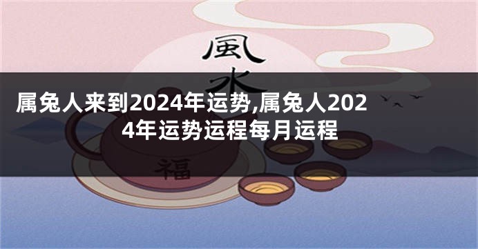 属兔人来到2024年运势,属兔人2024年运势运程每月运程