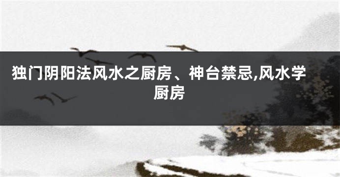 独门阴阳法风水之厨房、神台禁忌,风水学厨房