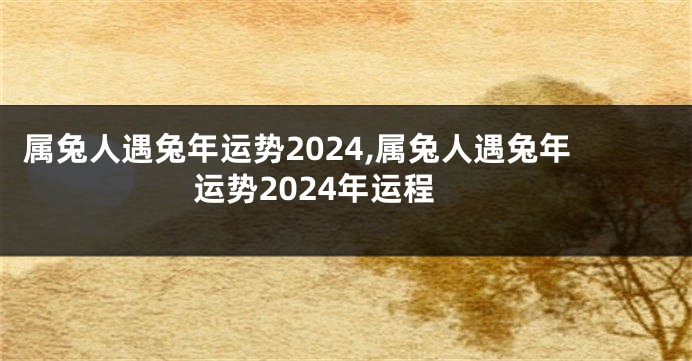 属兔人遇兔年运势2024,属兔人遇兔年运势2024年运程