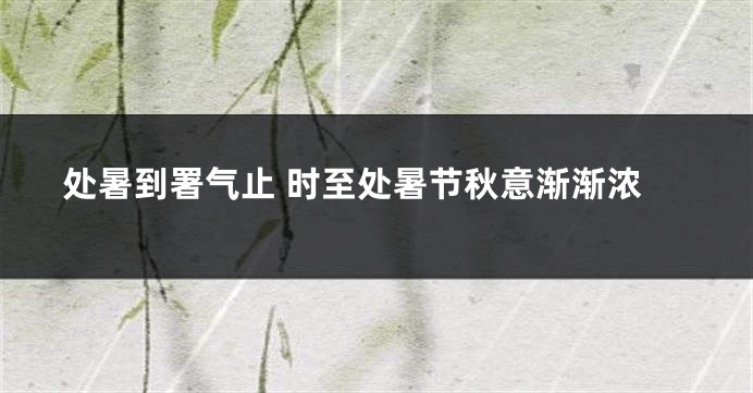 处暑到署气止 时至处暑节秋意渐渐浓