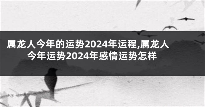 属龙人今年的运势2024年运程,属龙人今年运势2024年感情运势怎样