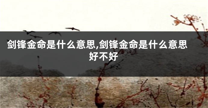 剑锋金命是什么意思,剑锋金命是什么意思好不好