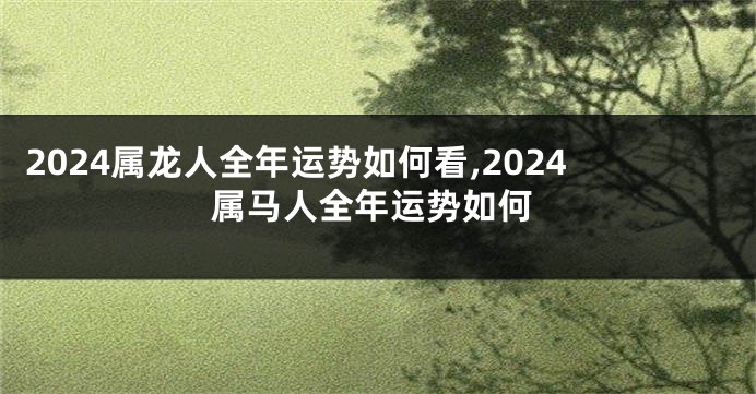 2024属龙人全年运势如何看,2024属马人全年运势如何