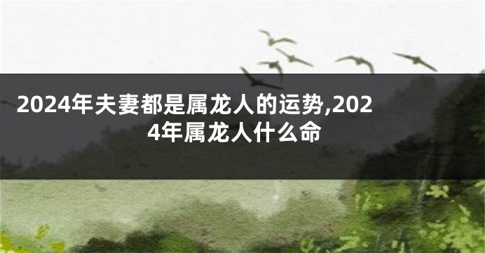 2024年夫妻都是属龙人的运势,2024年属龙人什么命