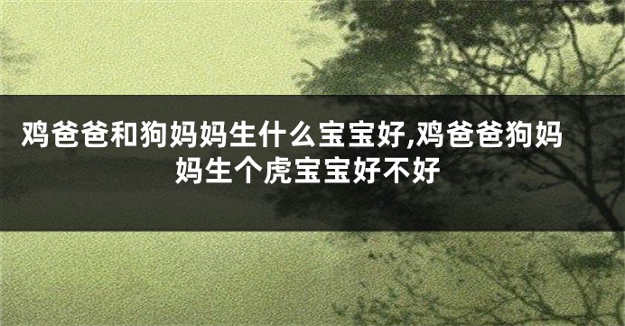 鸡爸爸和狗妈妈生什么宝宝好,鸡爸爸狗妈妈生个虎宝宝好不好