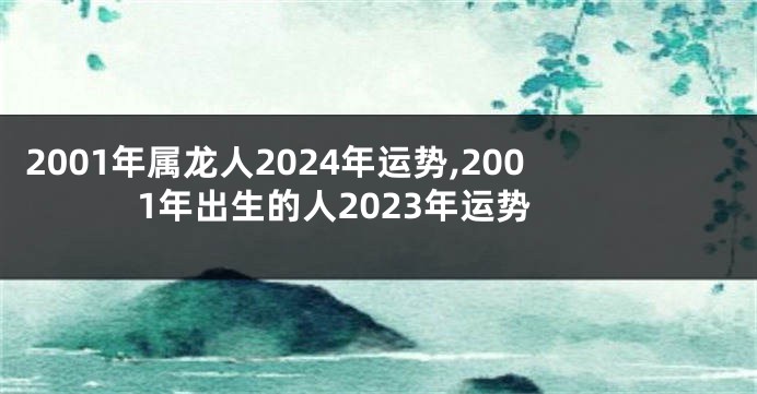 2001年属龙人2024年运势,2001年出生的人2023年运势
