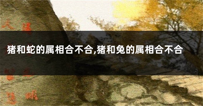 猪和蛇的属相合不合,猪和兔的属相合不合
