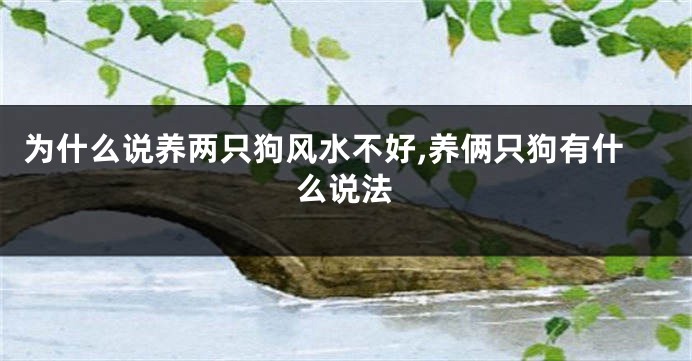 为什么说养两只狗风水不好,养俩只狗有什么说法