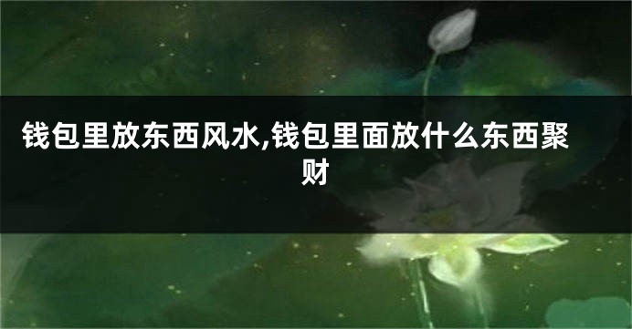 钱包里放东西风水,钱包里面放什么东西聚财