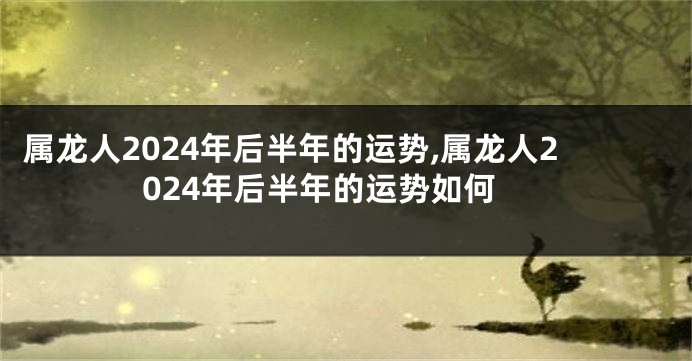 属龙人2024年后半年的运势,属龙人2024年后半年的运势如何