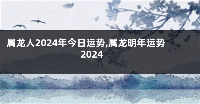 属龙人2024年今日运势,属龙明年运势2024