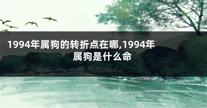 1994年属狗的转折点在哪,1994年属狗是什么命