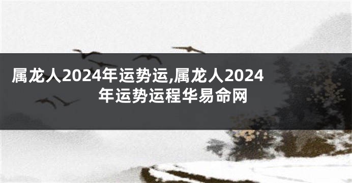 属龙人2024年运势运,属龙人2024年运势运程华易命网