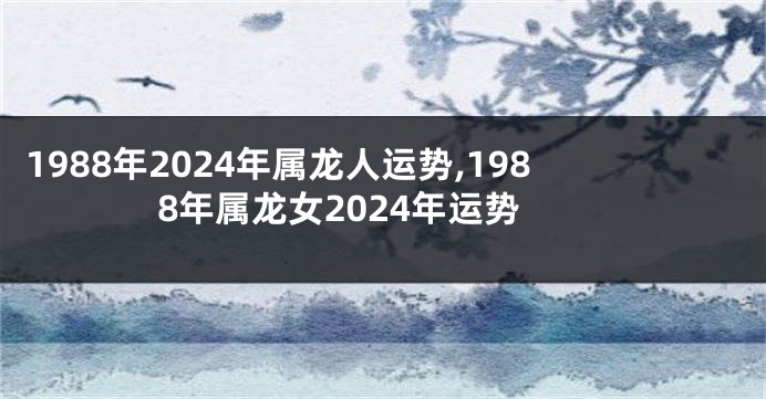 1988年2024年属龙人运势,1988年属龙女2024年运势