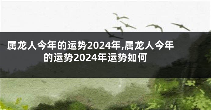 属龙人今年的运势2024年,属龙人今年的运势2024年运势如何