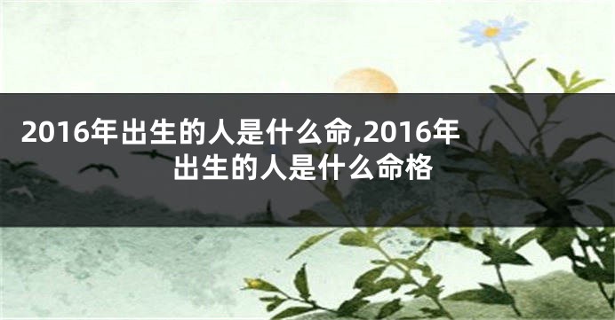 2016年出生的人是什么命,2016年出生的人是什么命格
