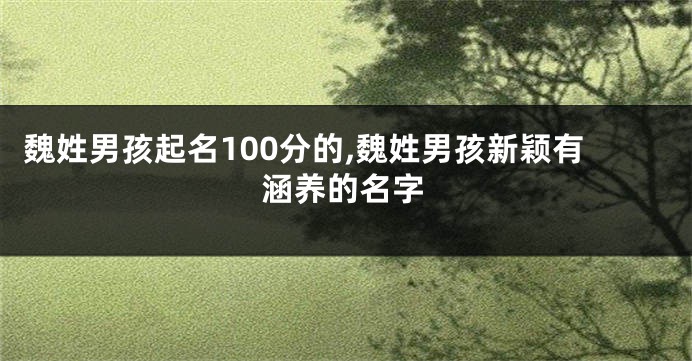 魏姓男孩起名100分的,魏姓男孩新颖有涵养的名字