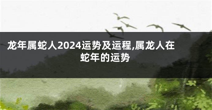 龙年属蛇人2024运势及运程,属龙人在蛇年的运势