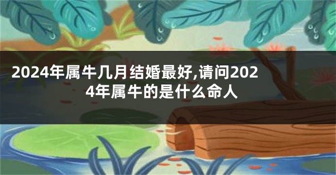 2024年属牛几月结婚最好,请问2024年属牛的是什么命人