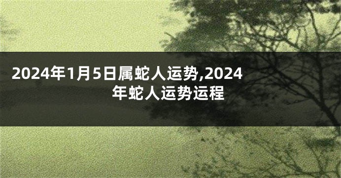 2024年1月5日属蛇人运势,2024年蛇人运势运程