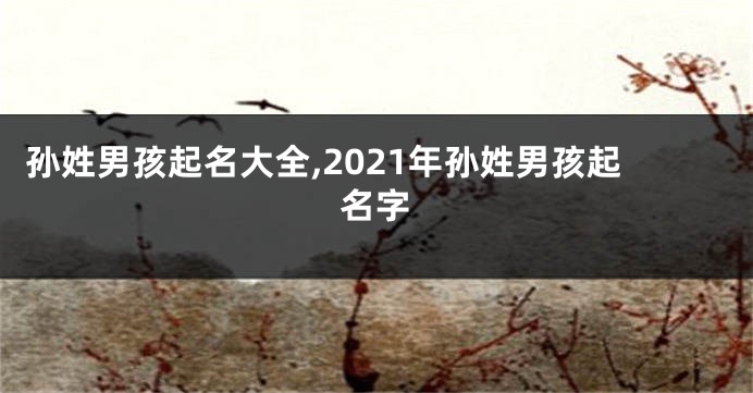 孙姓男孩起名大全,2021年孙姓男孩起名字