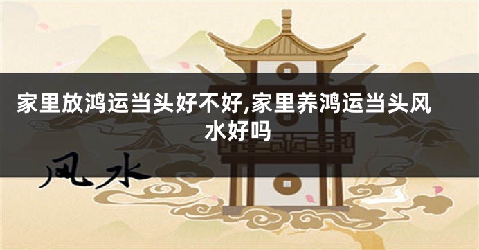 家里放鸿运当头好不好,家里养鸿运当头风水好吗