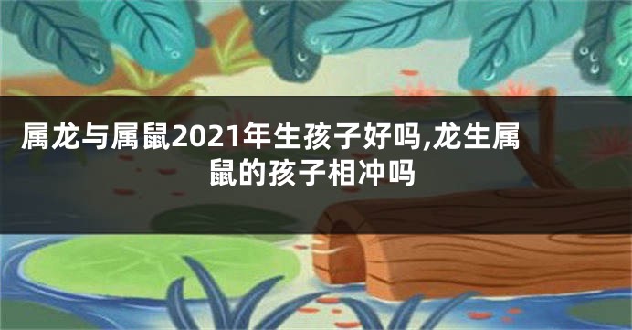 属龙与属鼠2021年生孩子好吗,龙生属鼠的孩子相冲吗