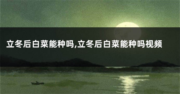 立冬后白菜能种吗,立冬后白菜能种吗视频