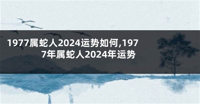 1977属蛇人2024运势如何,1977年属蛇人2024年运势