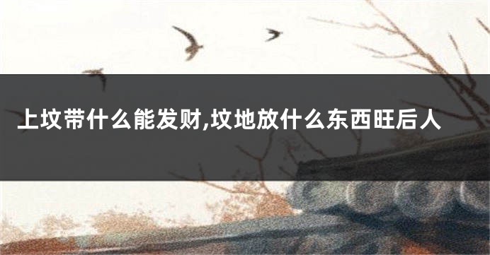 上坟带什么能发财,坟地放什么东西旺后人
