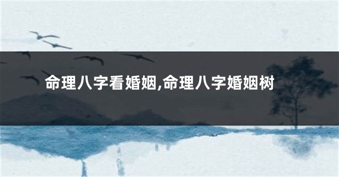 命理八字看婚姻,命理八字婚姻树