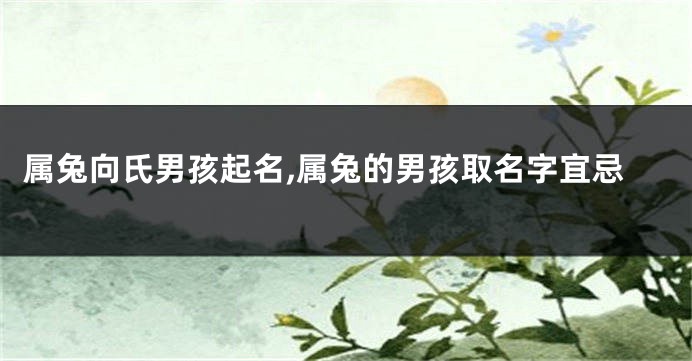 属兔向氏男孩起名,属兔的男孩取名字宜忌