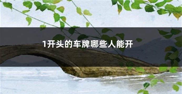 1开头的车牌哪些人能开